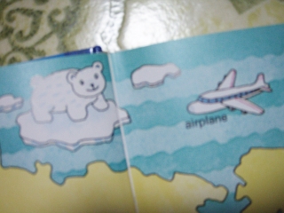 203kuma-airplane.JPG